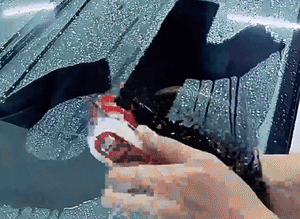 Oil Film Brush Cleaning Board